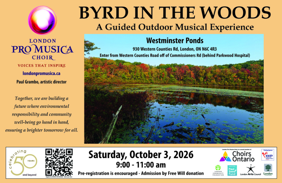 Byrd in the Woods